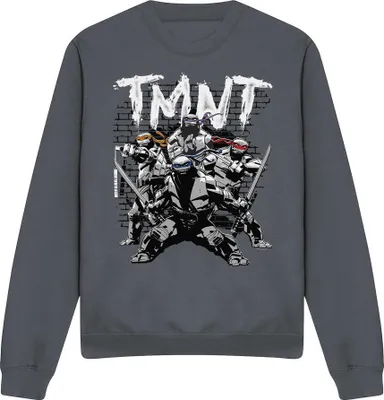 Imagen del producto de Sudadera "TMNT Team" de las Tortugas Ninja Mutantes, uni, para hombre/mujer, modelo TV12735 (talla L), color carbón