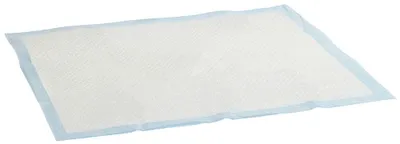 Image de Kerbl Tapis d'entraînement 60x45cm pour toilettes pour chiots ; 81991