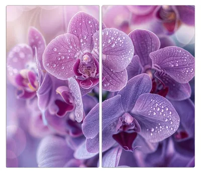 Produktbild von Spritzschutz Herdabdeckplatte Schneidebrett aus Glas Orchideenblüten 2-Teilig (60x52cm)