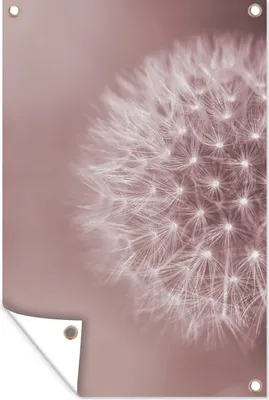 Produktbild von MuchoWow®