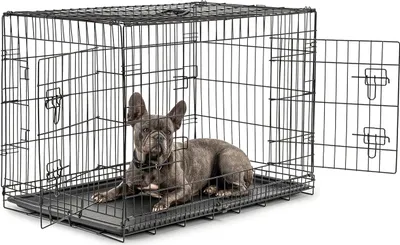 A French Bulldog lies inside a black metal dog crate with the door open.