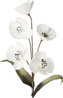 Zdjęcie produktu dla Flore 720 Długość 82 cm Długość z kwiatami 47 cm Średnica kwiatu 13 cm Biały