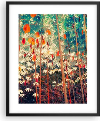 Produktbild von Gerahmtes Poster - Schwarzer Rahmen - Pflanzen tropisch orange - 40x50 cm - Wand Bild - Wanddeko - Wandbilder - Kunstposter - Wandposter - Bilderrahmen - Bilder - Kunstdruck - P2BPA40x50-4393