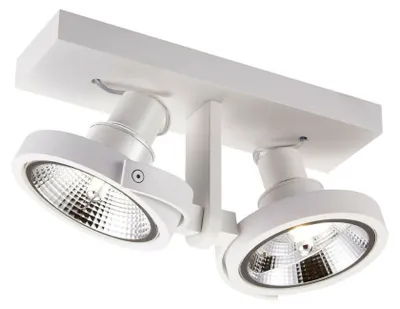 Obrázek produktu pro Bodová reflektorová lampa MASTER ACGU10-183-N Zuma Line