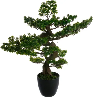 Produktbild von Sztuczne bonsai w doniczce
