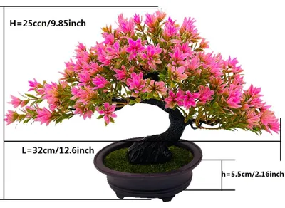 Produktbild von Realistische Kunst: Bonsai-Baum im Topf – Dekorativer Pflanzen für Zuhause und Büro