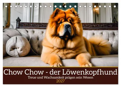 Produktbild von Chow Chow - der Löwenkopfhund (Tischkalender 2027 DIN A5 quer), CALVENDO Monatskalender
