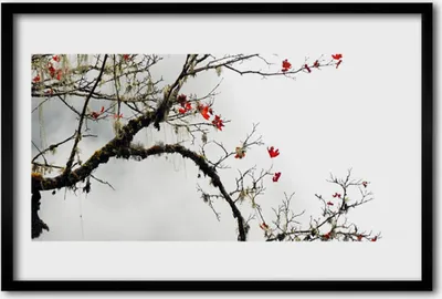 Produktbild von Bild 60x40 MDF-Rahmen Wandkunst Ast Natur Pflanze