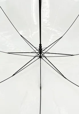 Produktbild von Stock-Regenschirm Transparent Automatik