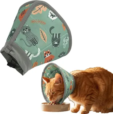 Image de Collier pour chat réglable, col de protection, tailles S à L, respirant pour favoriser la cicatrisation