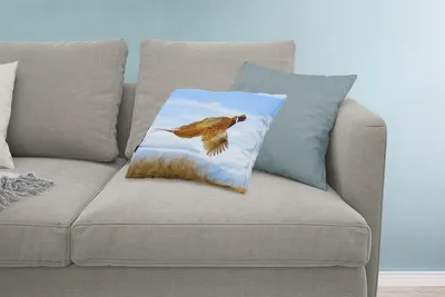 Produktbild von MuchoWow® Zierkissen Sofakissen Wohnzimmer Dekokissen 60x40 cm Fasan - Federn - Vogel - Kopfkissen - Polster mit Foto
