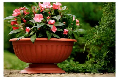 Produktbild von Blumenschale Pflanzschale Blumenkübel Grace ∅41,5 cm Terrakotta