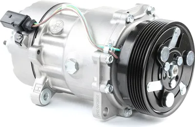 Produktbild von RIDEX 447K0060 SD7V16 Klimaanlage Klimakompressor PAG 46 R134a für VW Golf IV Schrägheck (1J1) Golf V Schrägheck (1K1) Transporter V Bus Multivan V