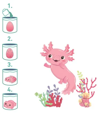Produktbild von Schlüpfender Axolotl, Zauber-Ei, 2-fach sortiert, ab 3 Jahren