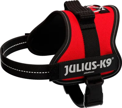 Obrázek produktu pro Julius-K9® Energy Harness® Baby 1–Mini 51–67 cm/28 mm červená