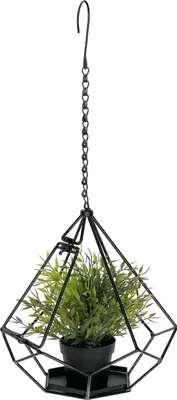 Zdjęcie produktu dla DanDiBo wiszący kosz do wnętrz metalowa ściana wisząca rośliny 64 cm 96075 S z drzwiami 6 narożników wieszak na rośliny wieszak na kwiaty wieszak na doniczki wieszak na kwiaty wisząca doniczka