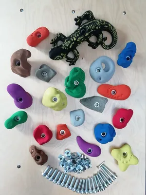 Klettergriffe Komplettset StarterKids von Kletterbude; inklusive bunter Klettergriffe und einer Echse auf einer Kletterwand.
