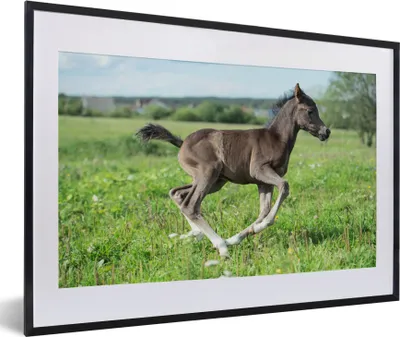 Produktbild von MuchoWow® MuchoWow® Gerahmtes Poster Pferd - Blumen - Gras 60x40 cm - Poster mit zchwarzem Bilderrahmen - Schlafzimmer - Plakat in Rahmen - Drucken