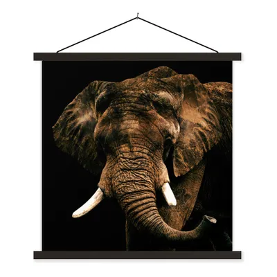 Produktbild von MuchoWow® Textilposter Elefant - Braun - Zähne 40x40 cm mit schwarzem Rahmen - Fotos