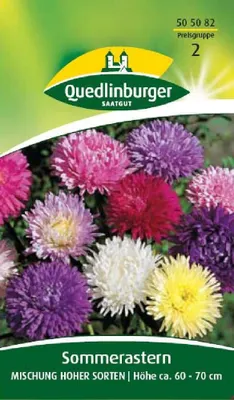 Produktbild von Sommeraster, Mischung hoher Sorten
