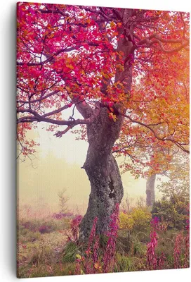 Produktbild von Bild auf Leinwand - Leinwandbild - Einteilig - Baum Natur Wiese - 50x70cm - Wand Bild - Wanddeko - Wandbilder - Leinwanddruck - Kunstdruck - Wanddekoration - Leinwand bilder - Wandbild - PA50x70-3658