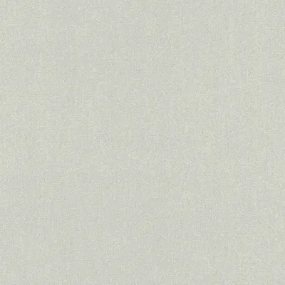 Produktbild von Rasch Vliestapete Color Your Life 633696 Uni Einfarbig Tapete 10.05 x 0.53 m Grau Wohnen Schlafen Küche Flur Eingangsbereich