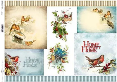 Image de ITD Papier de riz Decoupage Papier de bricolage Technique de serviettes-R151L - A3 / Oiseaux de proie