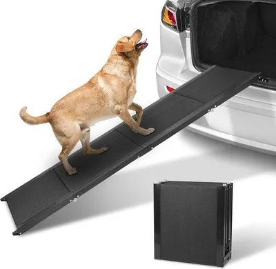 Produktbild von Famanu Hunde-Rampe 160 cm - Antirutsch, leicht und stabil für Auto und Fahrzeuge