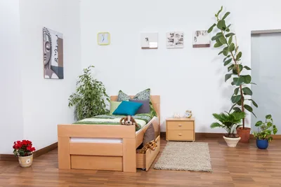 Produktbild von Einzelbett / Gästebett "Easy Premium Line" K2 inkl. 2 Schubladen und 2 Abdeckblenden, 90 x 200 cm Buche Vollholz massiv Natur