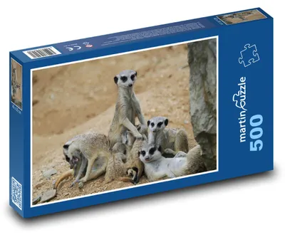 Obrázek produktu pro Puzzle 500 Surikata - rodina v přírodě - martinpuzzle