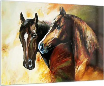Produktbild von Bilder auf glas - Pferd Natur Tier - 100x70cm - Glasbilder - Wandbilder - Kunstdruck - zum Aufhängen bereit - Wanddekoration aus Glas - Glas Bilder - Wandbild auf Glas - Einteilig - GAA100x70-3482