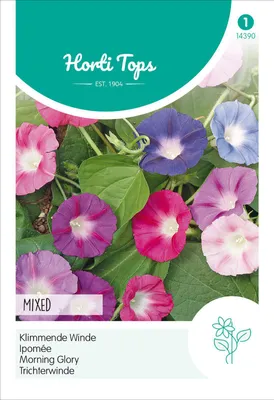 Produktbild von Trichterwinde Purpurea Mischung | Blumensamen von Hortitops