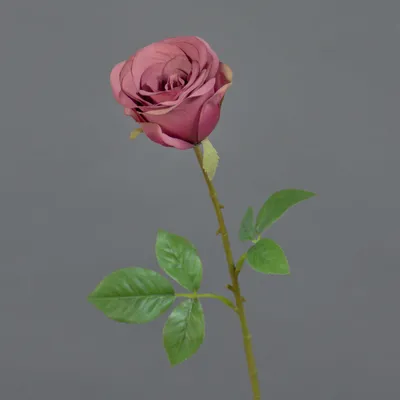 Produktbild von artplants.de Kunstrose RUYUN, Altrosa-grün, 45 cm - Künstlicher Blumenzweig