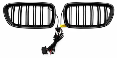 Productafbeelding van Radiateurgrille. Verlichte niergrills met LED-verlichting voor BMW 5-serie F10 F11, modeljaren 2010–2017, met dubbele strepen.