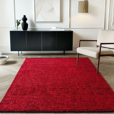 A red rug in a modern living room setting.
