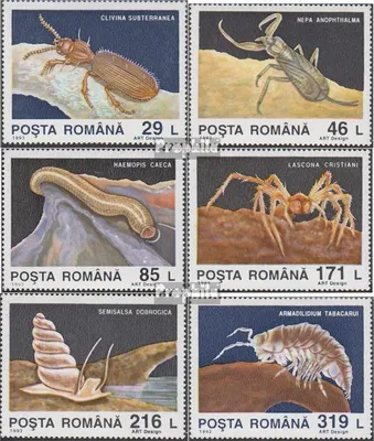 Produktbild von Briefmarken Rumänien 1993 Mi 4942-4947 (kompl.Ausg.) postfrisch Grotteninsekten