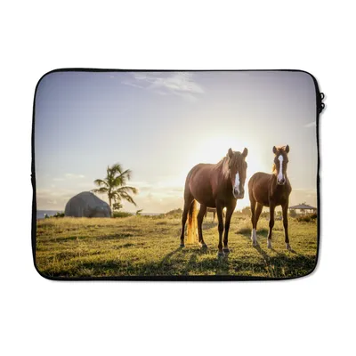 Produktbild von MuchoWow® Laptop Hülle 14 ZollPferde - Sonne - Gras Laptoptasche - Laptoptasche - Stoßsicher - Schutzhaube