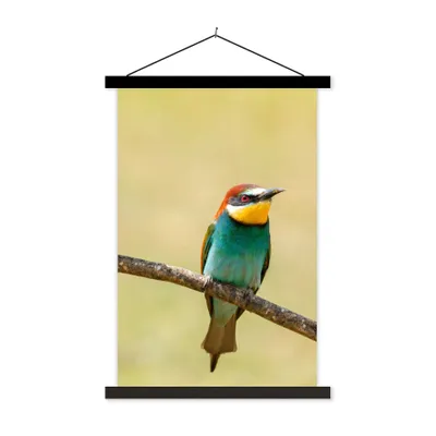 Produktbild von MuchoWow® Textilposter Vögel - Tiere - Bienenfresser 60x90 cm mit schwarzem Rahmen - Poster Wohnzimmer