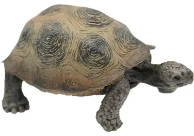 Produktbild von Schleich Giant Tortoise Figur Braun  Kinder Braun One Size