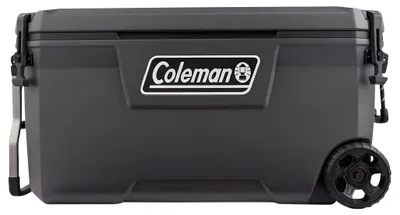 Zdjęcie produktu dla Coleman 2213849, Szary, Poliuretan, Poliuretan (PU), 2 szt., Czarny, 97 l