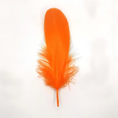 Immagine prodotto di Piume Piume d'oca, circa 15-20 cm, 10 pezzi, arancione