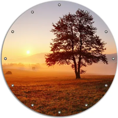 Produktbild von Wallario rundes Outdoor-Poster für Garten oder Balkon, Motiv Sonnenaufgang über der Wiese mit Nebel, 90 cm Durchmesser
