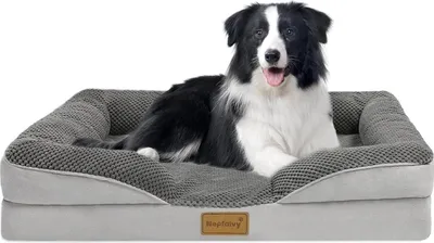 Produktbild von Orthopädisches Hundebett Mittelgroße Hunde Hundekorb Hundesofa Waschbar mit Eiförmigem Kistenschaum Hundecouch mit Hohem Rand 91x68cm