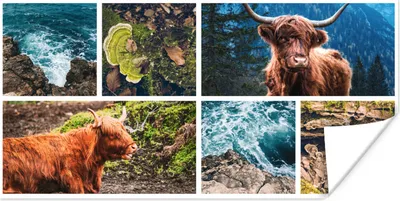 Produktbild von MuchoWow® Poster Schottischer Highlander - Collage - Meer - Berg 120x60 cm - Bild