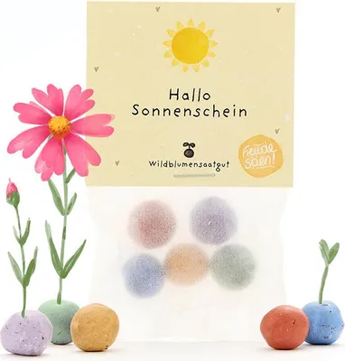 Produktbild von 5 Blumenmurmeln im Tütchen Hallo Sonnenschein – Seedbombs mit Wildblumensamen – nachhaltiges Mitbringsel, Dankeschön & Geschenkidee für Bienenfreunde