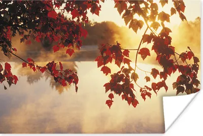 Produktbild von MuchoWow® Poster Herbstblätter in den USA 90x60 cm - Schlafzimmer