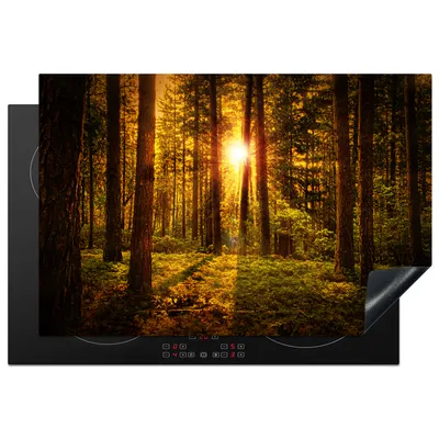 Produktbild von KitchenYeah© Herdabdeckplatte Wald - Sonne - Bäume - Natur - Sonnenuntergang , 76x51cm, Küche Deko, Glaskeramikkochfeld Herdabdeckung, Abdeckplatte fùr Kochfeld