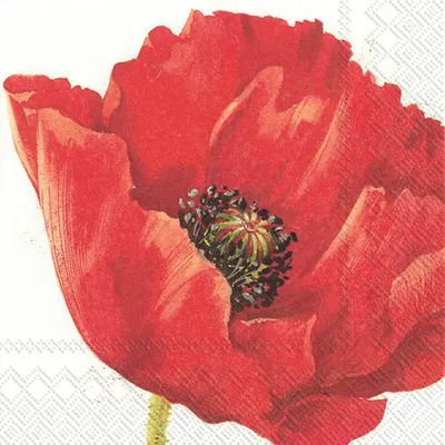 Produktbild von MONA Lunch-Servietten L 844700