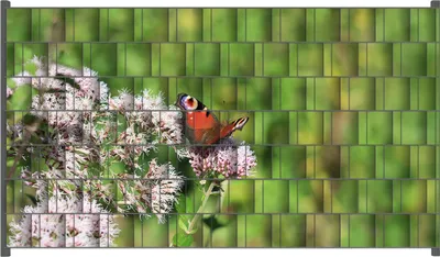 Produktbild von Wallario Zaunsichtschutz mit Motiv Schmetterling auf Blüte für Ein- und Doppelstabmatten Zäune in der Größe 250 x 140 cm