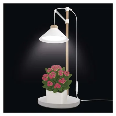 Pflanzenlampe LED Vollspektrum, 21 LEDs, für Innenräume, mit Zeitschaltuhr